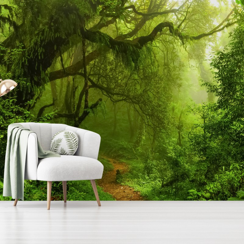 Carta da parati sentiero incantato nella foresta pluviale