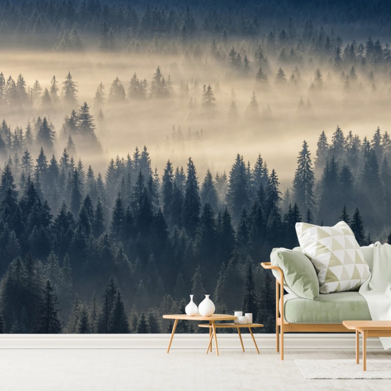 Carta da parati valle di abeti nella nebbia dorata