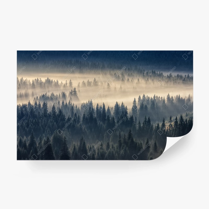 Carta da parati valle di abeti nella nebbia dorata