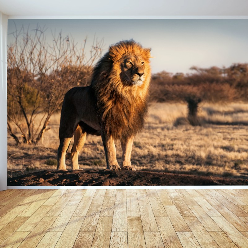Carta da parati il re della savana