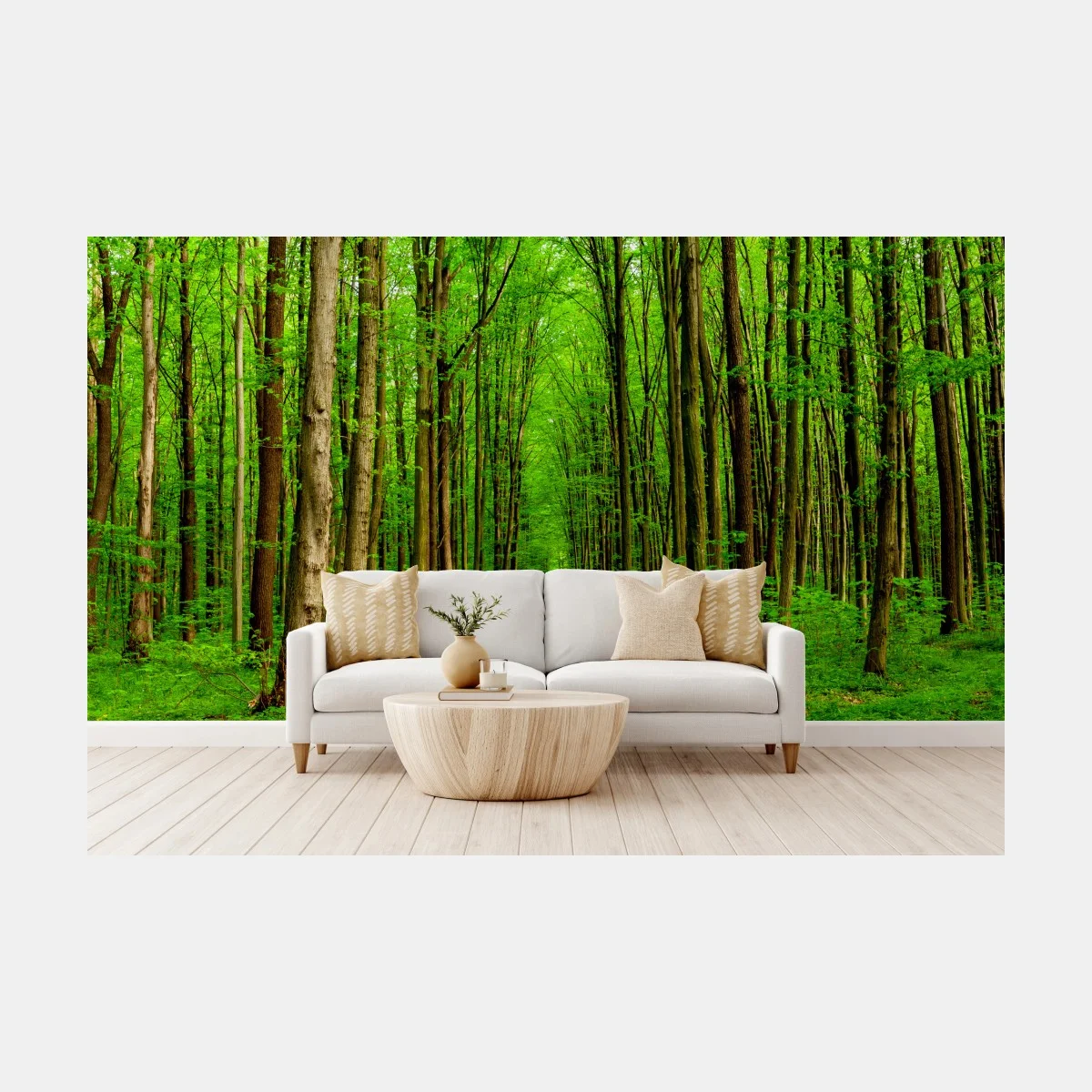 Carta da parati viale primaverile nel bosco • Wallissimo® Carta da parati viale primaverile nel bosco • Wallissimo®