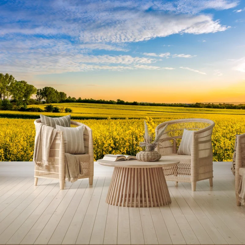 Carta da parati tramonto sul campo di colza