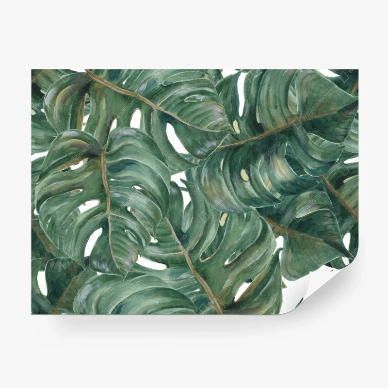 Carta da parati motivo botanico di foglie di monstera