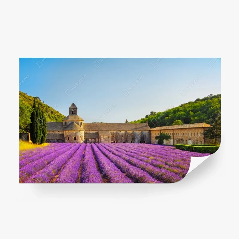 Carta da parati tramonto all'abbazia di Sénanque tra campi di lavanda
