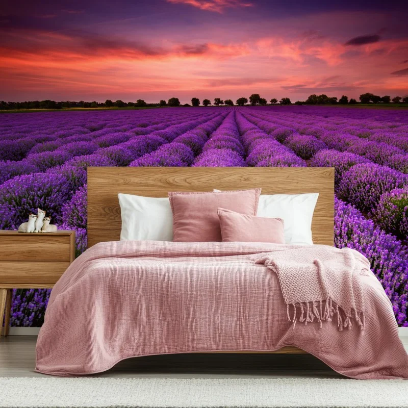 Carta da parati orizzonte di lavanda al tramonto