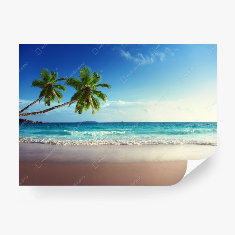 Carta da parati tramonto tropicale ai Caraibi