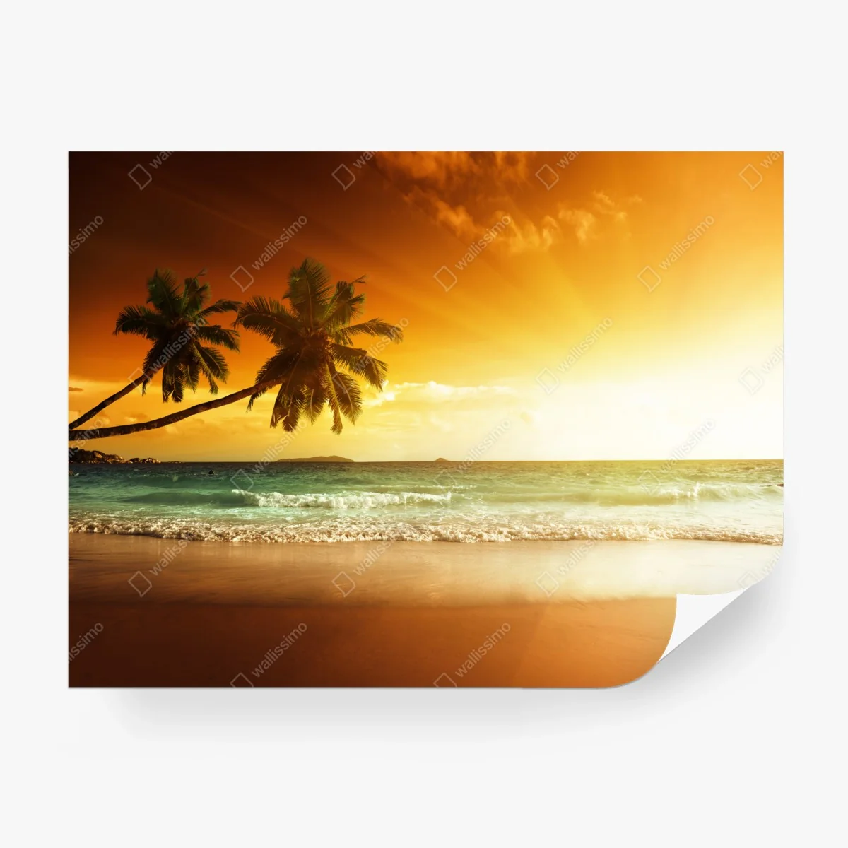 Carta da parati tramonto dorato sui Caraibi • Wallissimo® Carta da parati tramonto dorato sui Caraibi • Wallissimo®