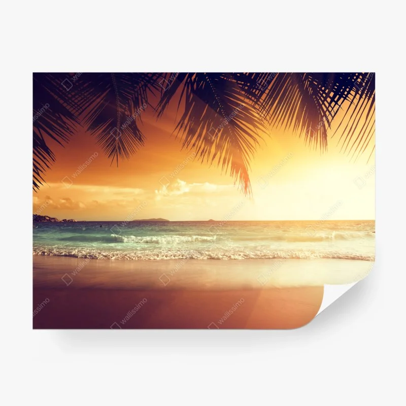 Carta da parati tramonto ai Caraibi con palme in silhouette
