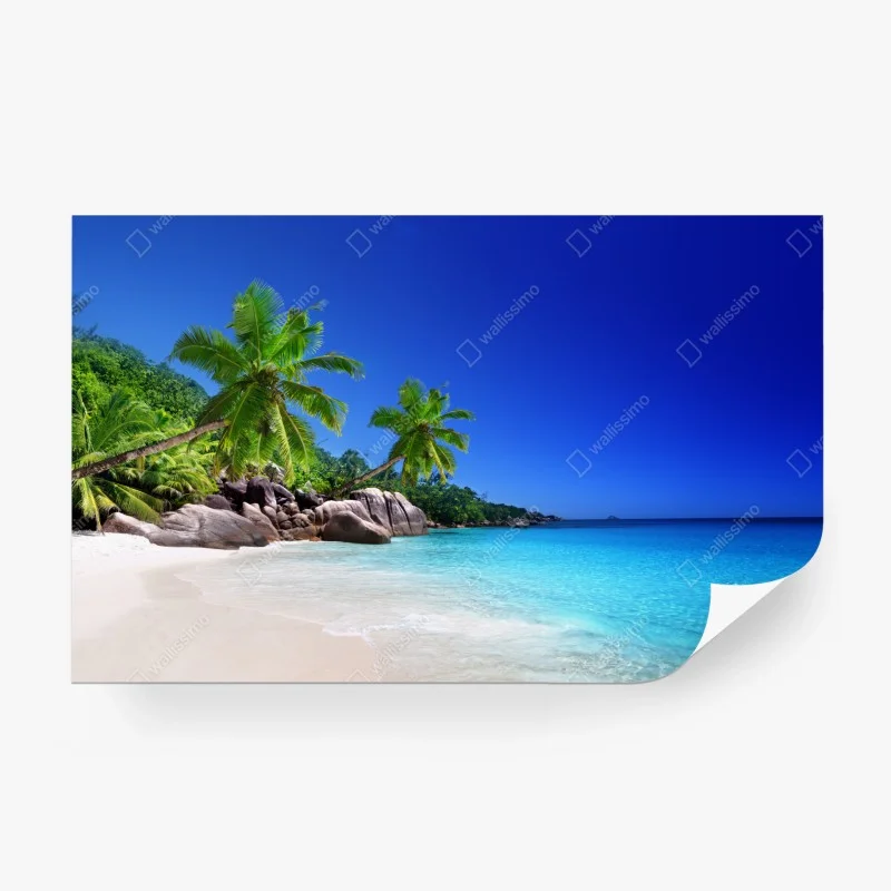 Carta da parati vista tropicale di palme e mare cristallino