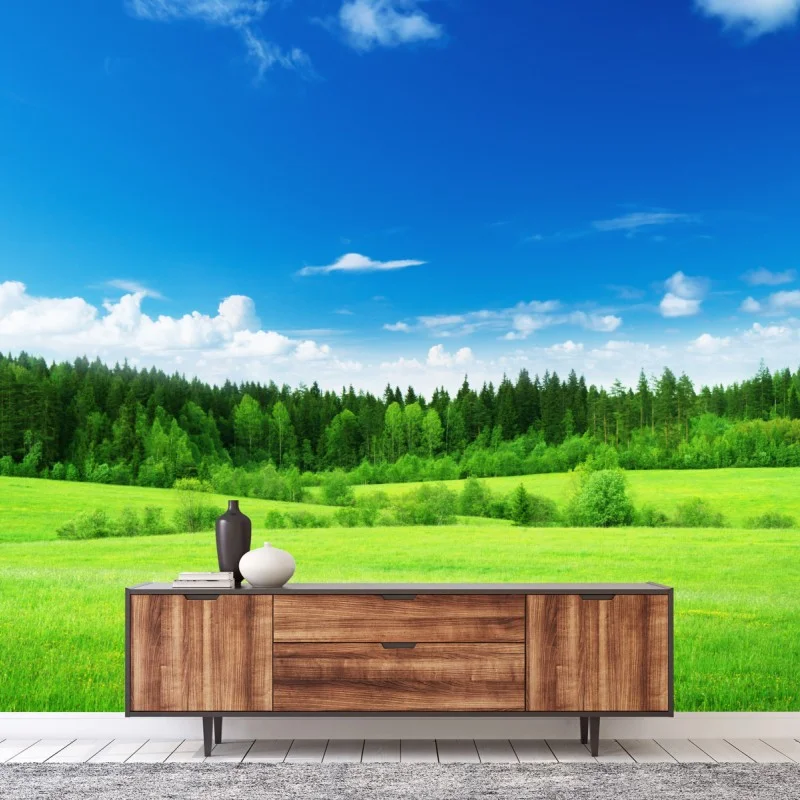 Carta da parati paesaggio primaverile con prato e foresta
