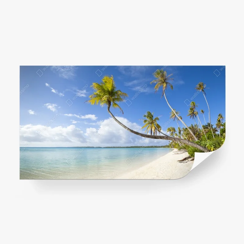 Carta da parati oasi tropicale: palme e mare cristallino