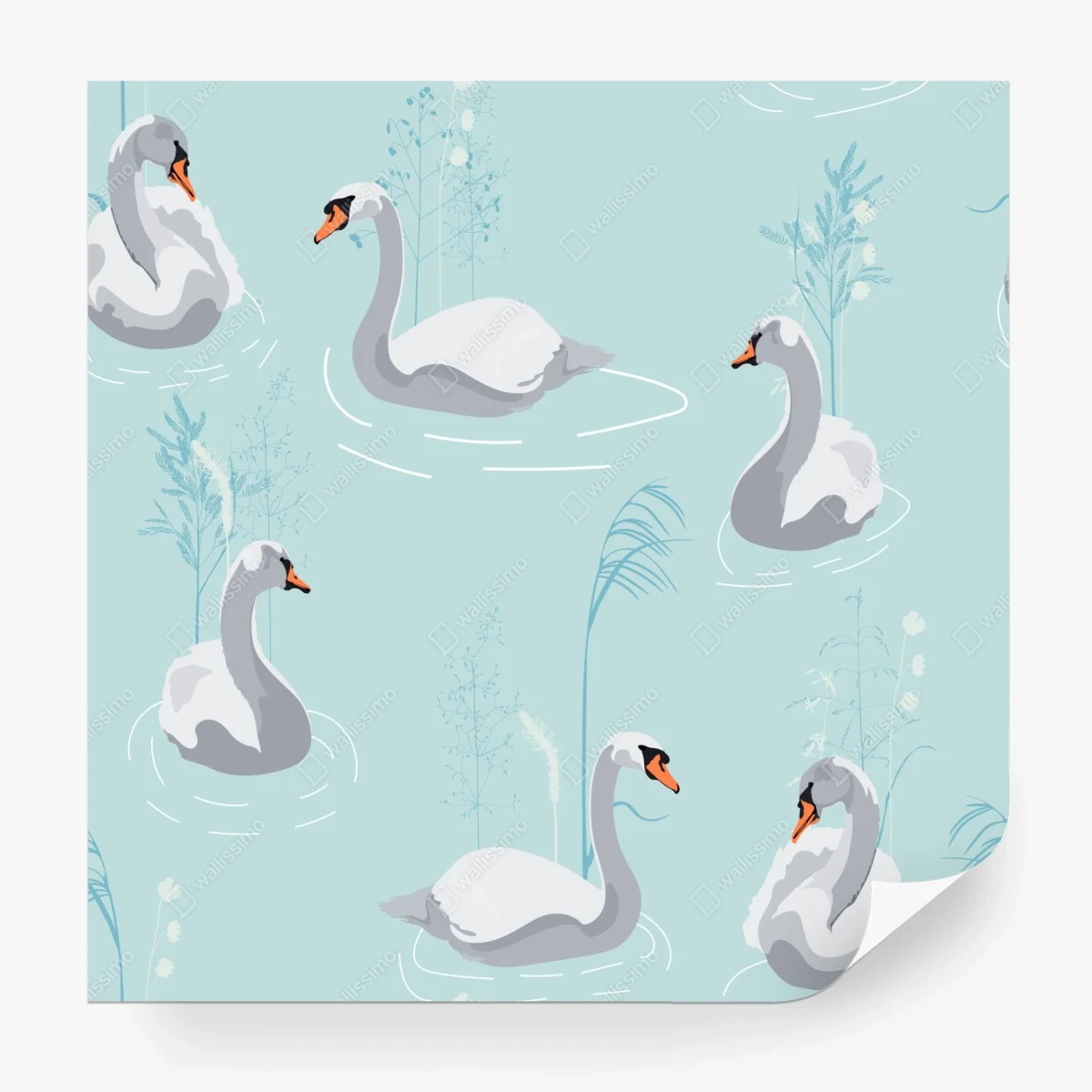 Carta da parati cigni sul lago: motivo elegante e pastello • Wallissimo®