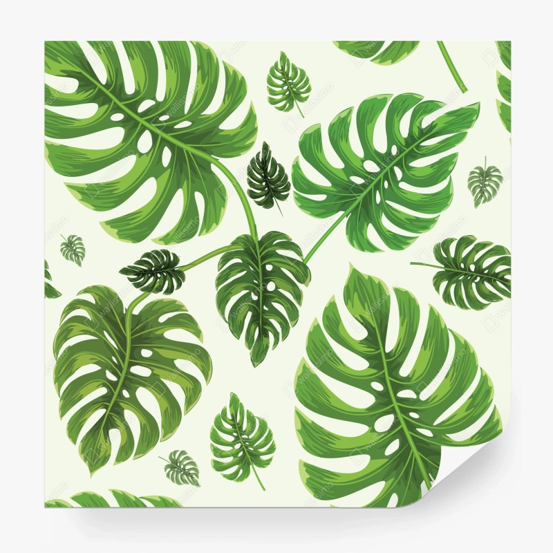 Carta da parati motivo tropicale con foglie di monstera