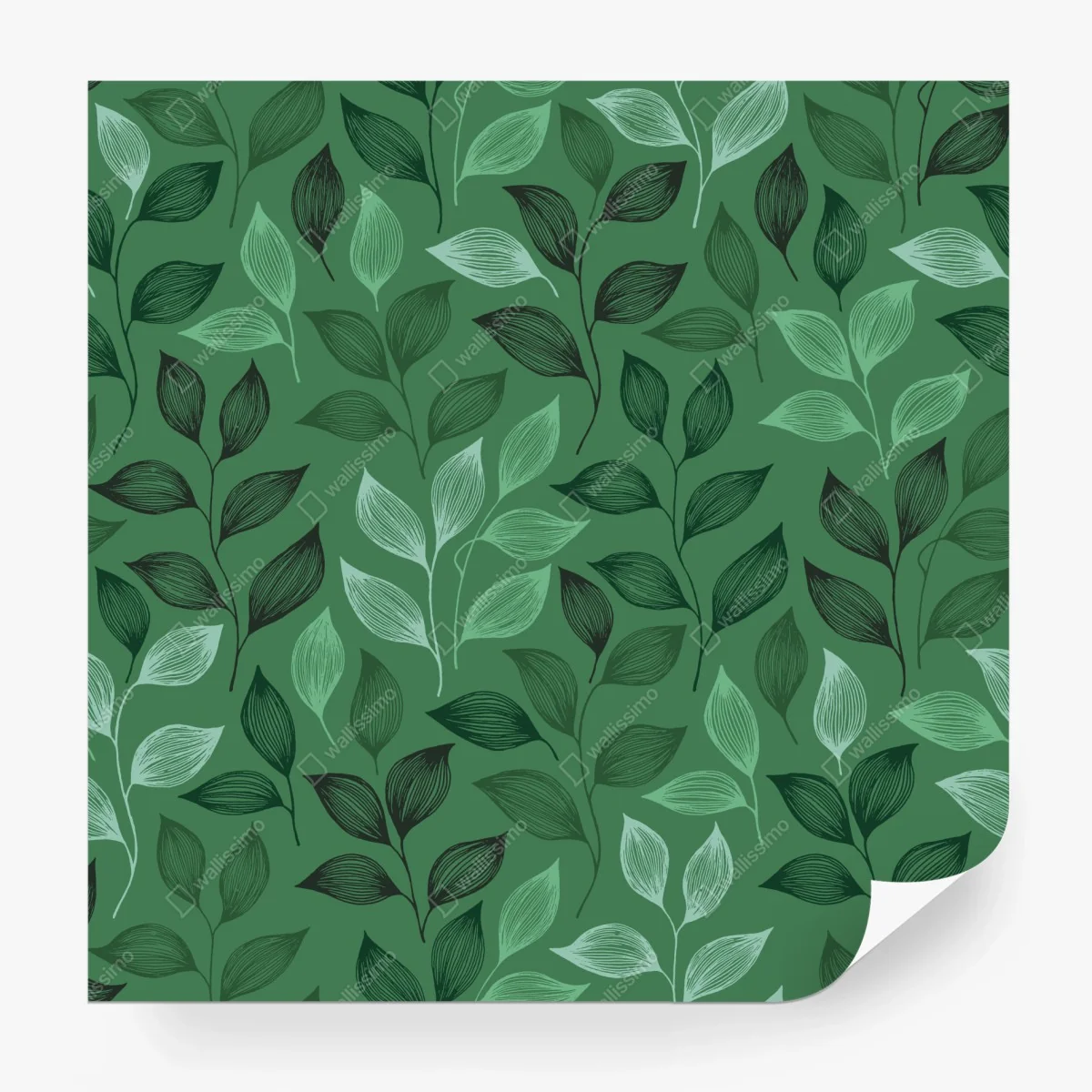 Carta da parati motivo botanico foglie verdi • Wallissimo® Carta da parati motivo botanico foglie verdi • Wallissimo®