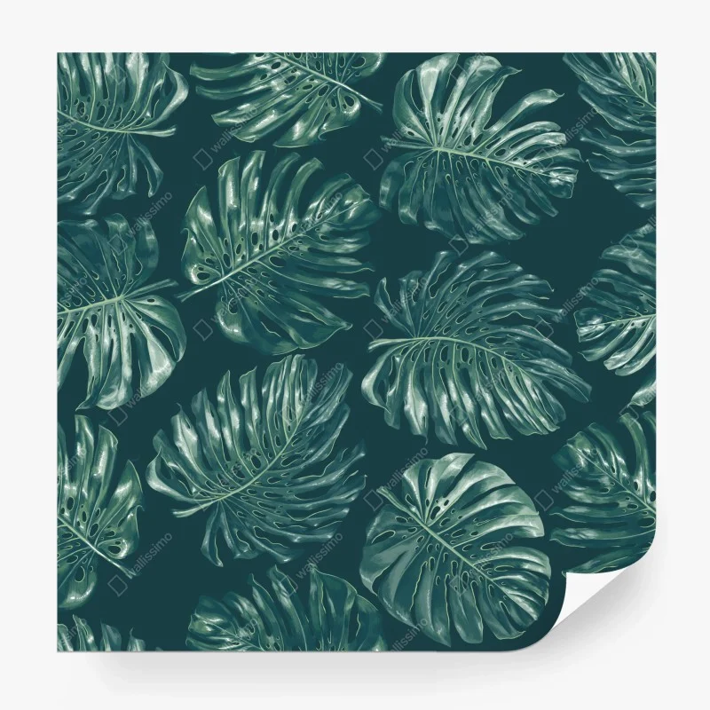 Carta da parati motivo di foglie di monstera tropicale
