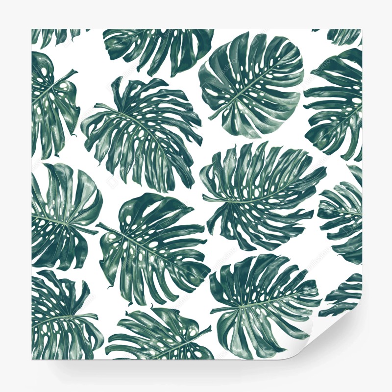 Carta da parati design botanico con foglie di monstera su sfondo bianco