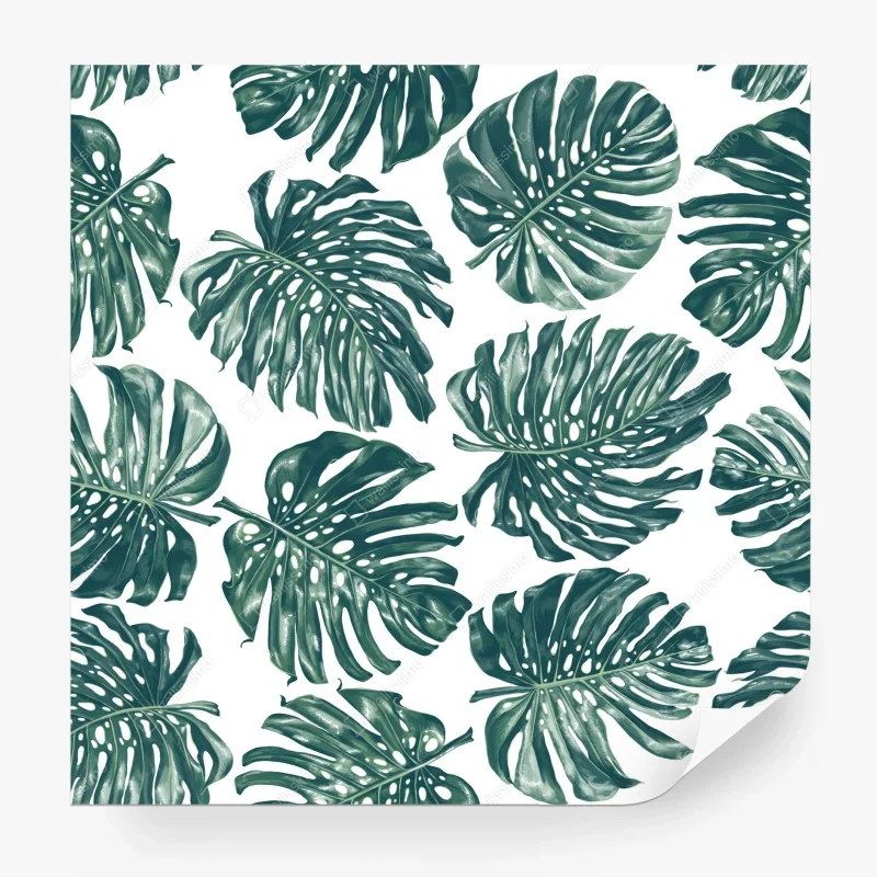 Carta da parati design botanico con foglie di monstera su sfondo bianco