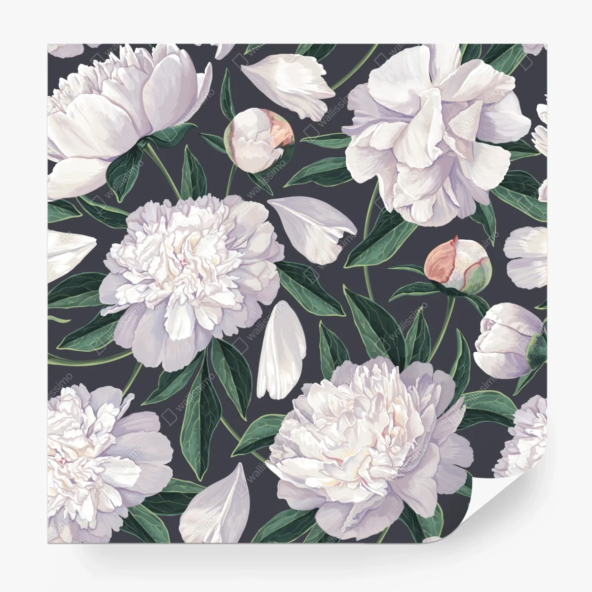 Carta da parati eleganza di peonie su sfondo scuro • Wallissimo®
