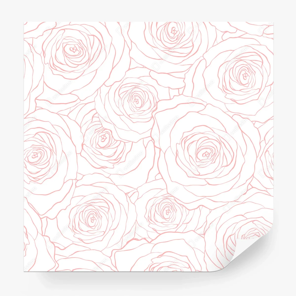 Carta da parati motivo di rose rosa delicato • Wallissimo®