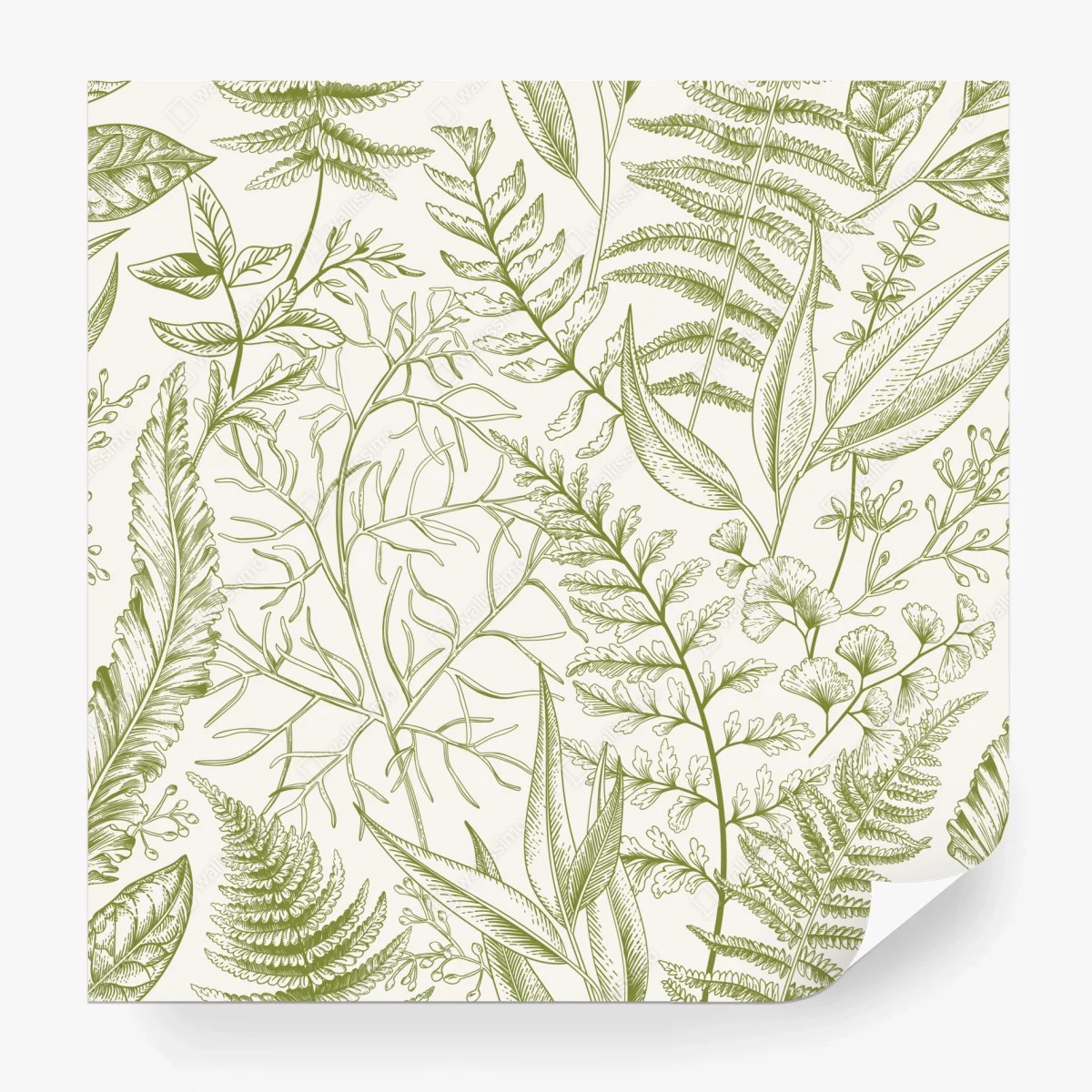 Carta da parati motivo botanico verde elegante • Wallissimo®