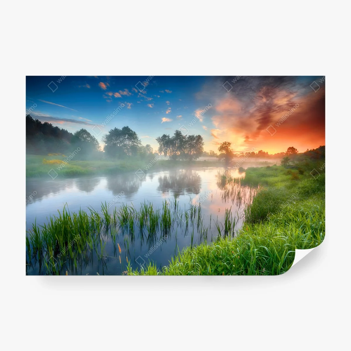 Carta da parati alba dorata sul fiume • Wallissimo®