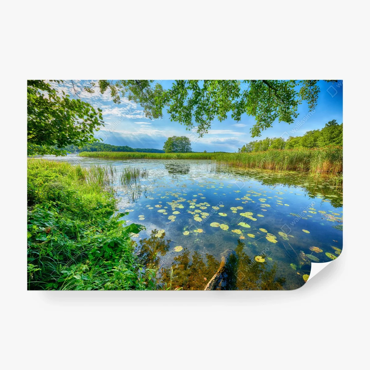 Carta da parati giornata estiva sul lago di Masuria • Wallissimo® Carta da parati giornata estiva sul lago di Masuria • Wallissimo®