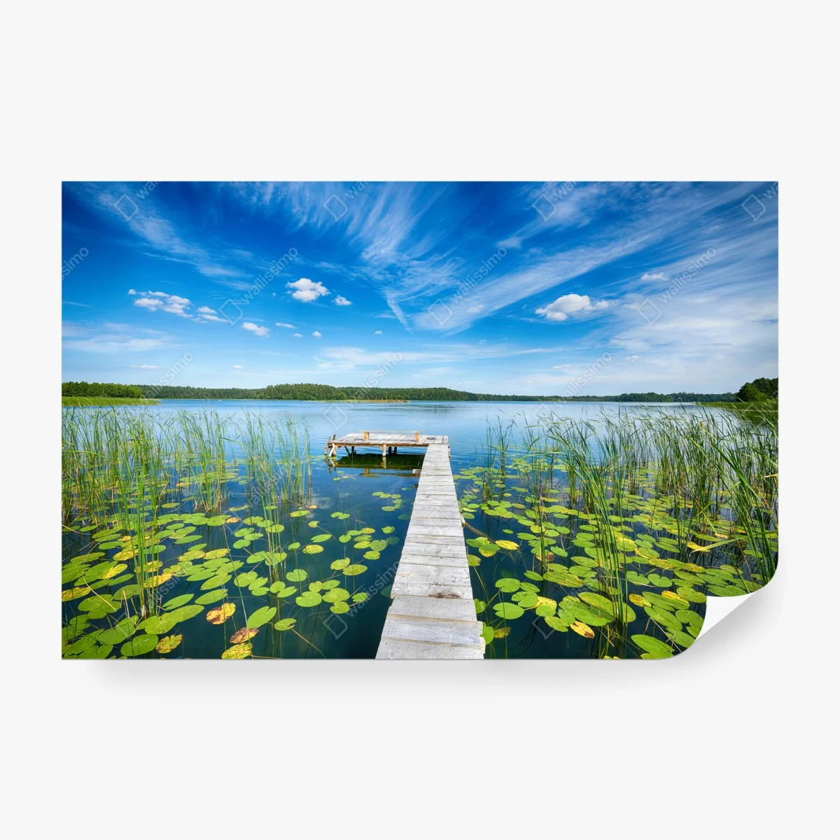 Carta da parati giornata estiva sul lago in Masuria • Wallissimo®