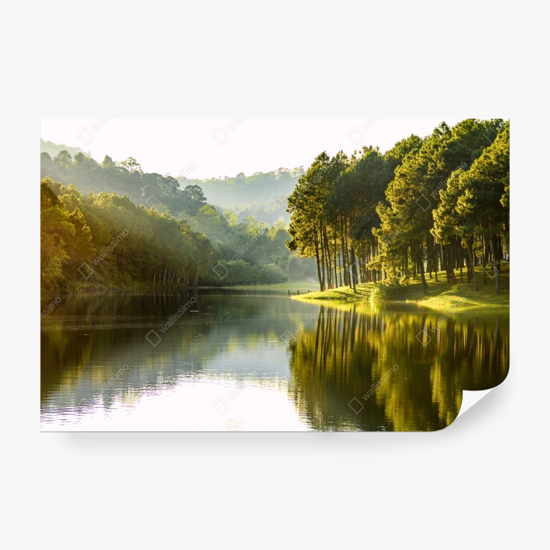Carta da parati paesaggio di pini sul lago