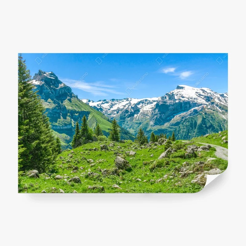 Carta da parati panorama alpino di Engelberg