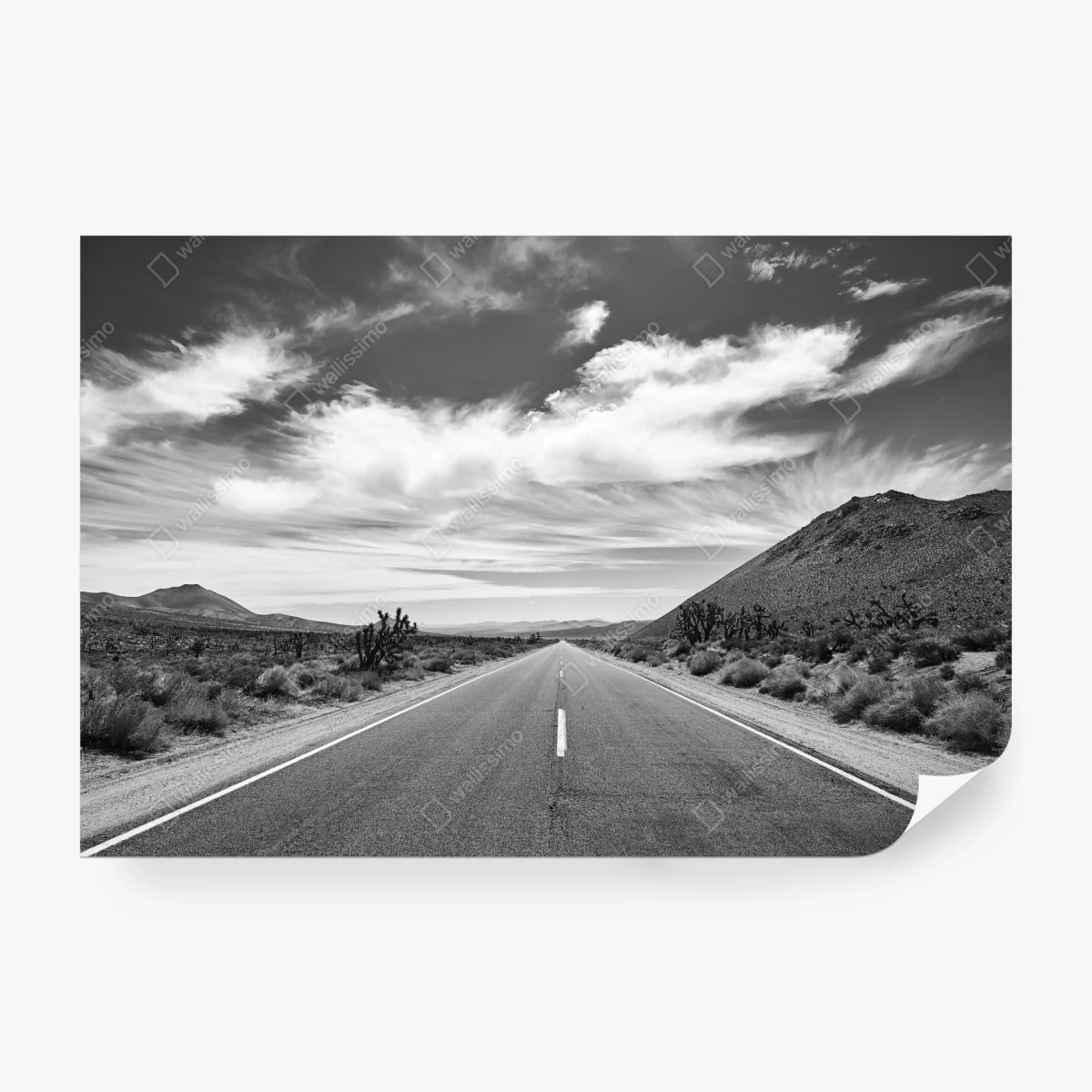 Carta da parati strada infinita nel deserto di Death Valley • Wallissimo® Carta da parati strada infinita nel deserto di Death Valley • Wallissimo®