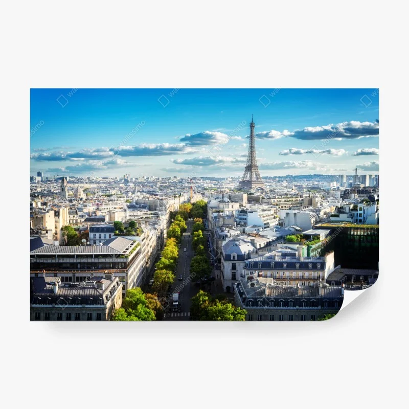 Carta da parati ampio panorama di Parigi con Tour Eiffel