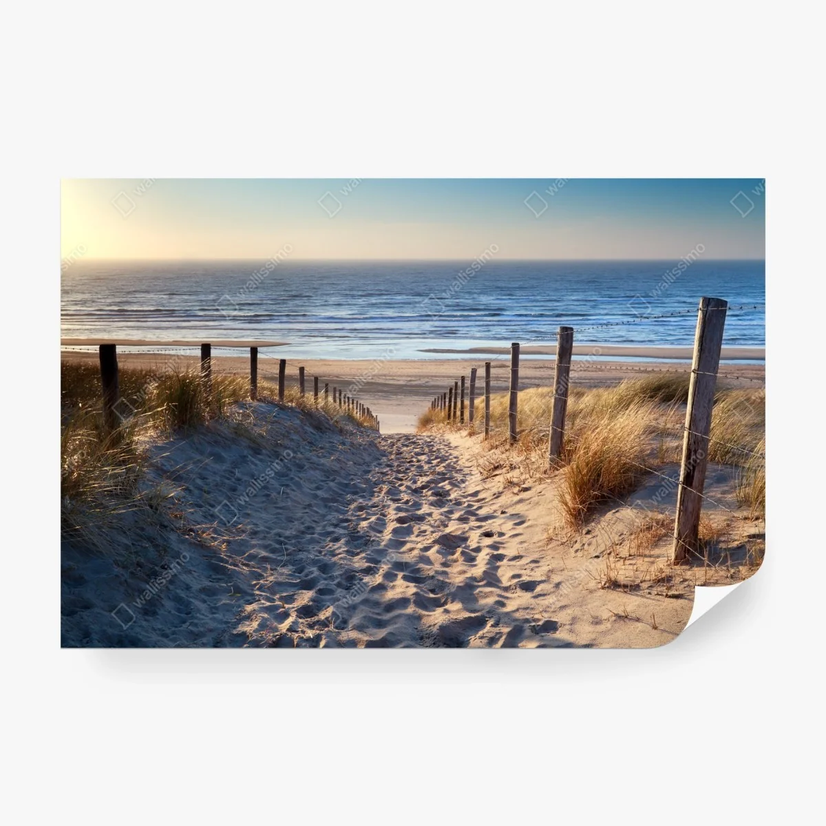 Carta da parati sentiero verso il Mare del Nord al tramonto • Wallissimo®