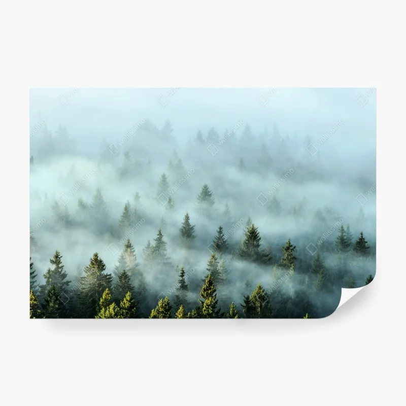 Carta da parati foresta nebbiosa sulle montagne