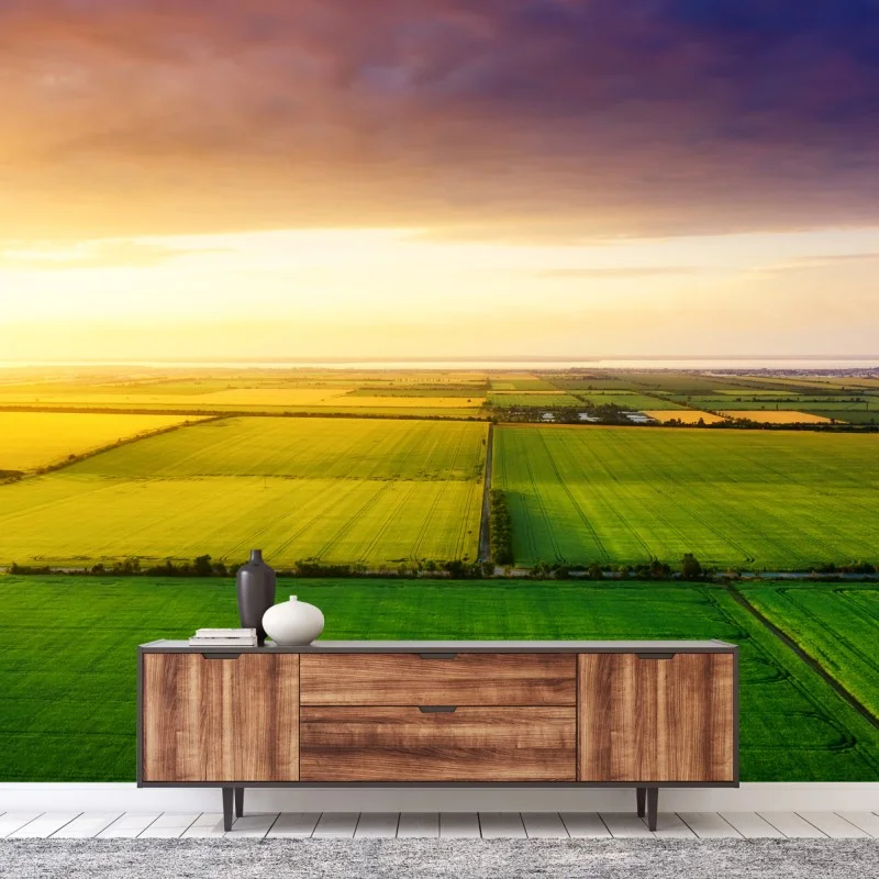 Carta da parati tramonto dorato sui campi visti dall'alto