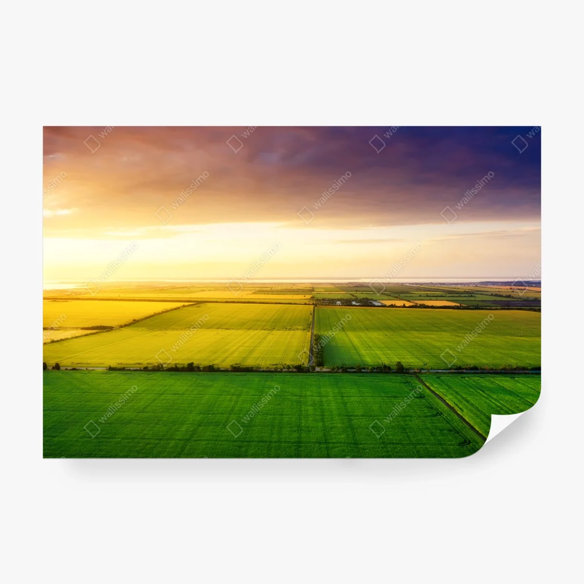 Carta da parati tramonto dorato sui campi visti dall'alto • Wallissimo® Carta da parati tramonto dorato sui campi visti dall'alto • Wallissimo®