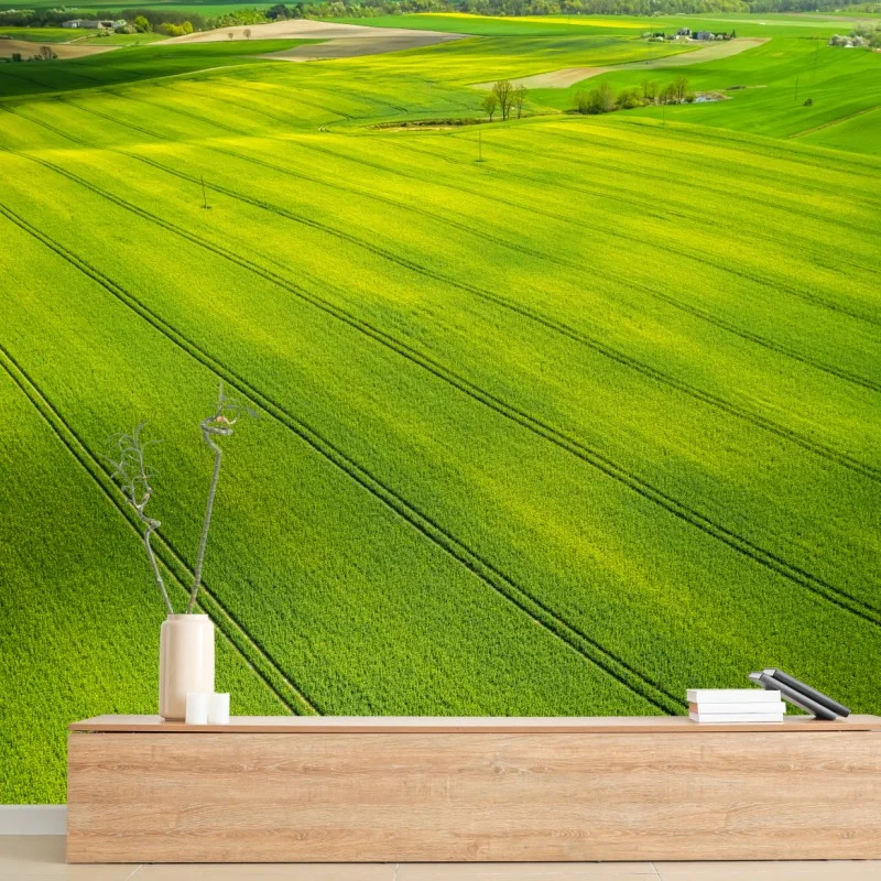 Carta da parati colza dorata vista dall'alto