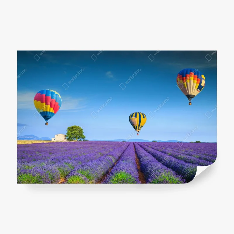 Carta da parati sogno di lavanda a Valensole, Provenza