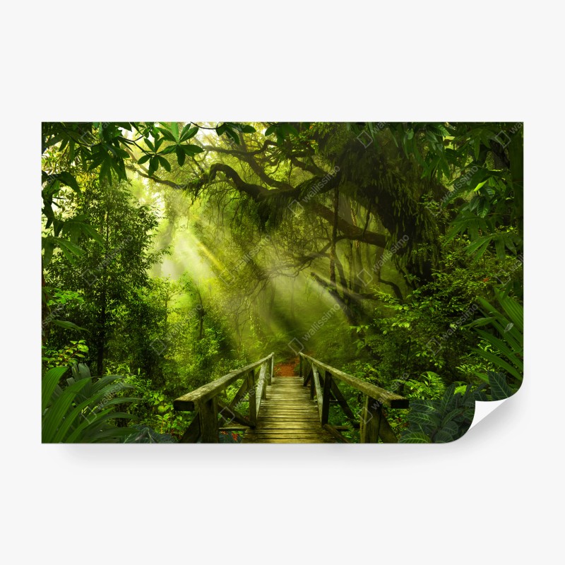Carta da parati passerella nella foresta incantata