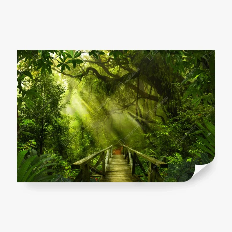 Carta da parati passerella nella foresta incantata