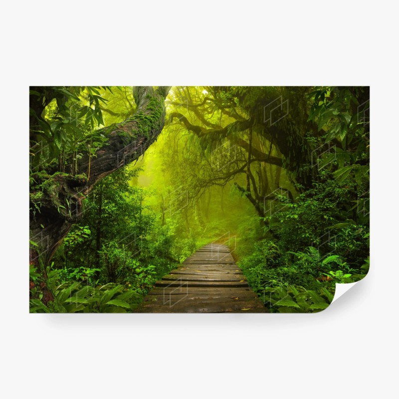 Carta da parati sentiero incantato nella foresta verde