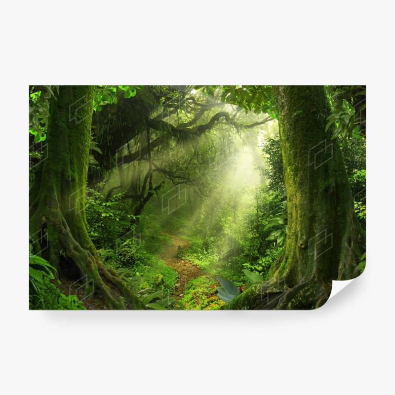 Carta da parati sentiero incantato nella foresta verde