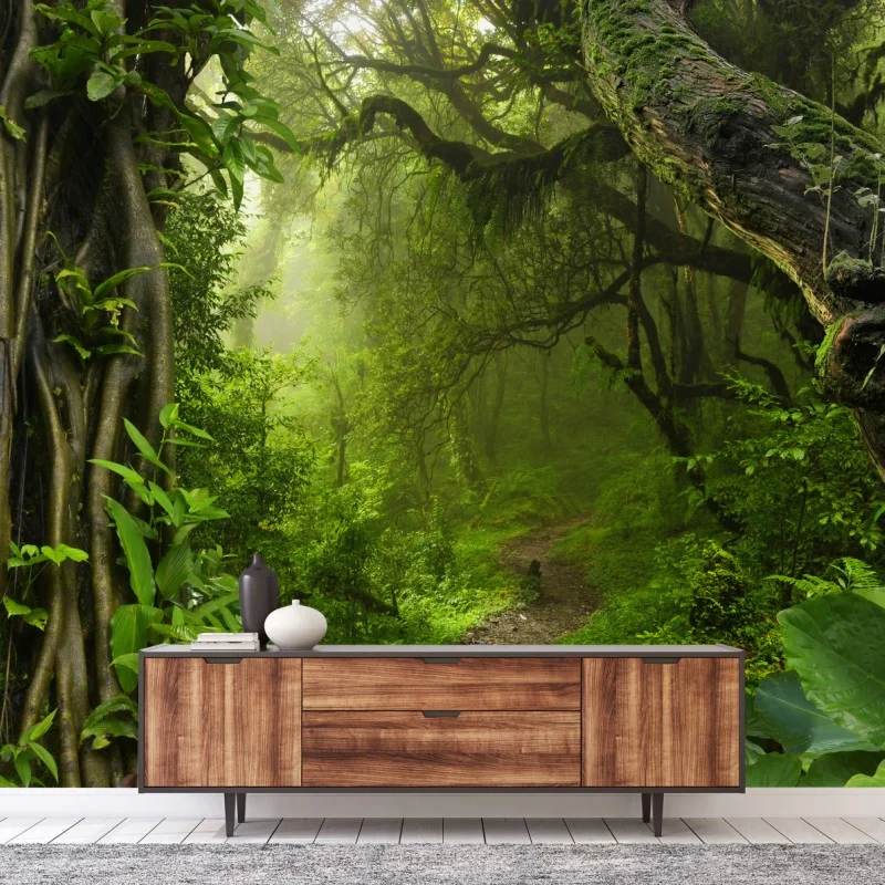 Carta da parati sentiero incantato nella foresta pluviale