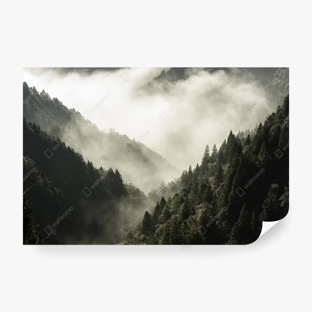 Carta da parati valle avvolta nella nebbia • Wallissimo®