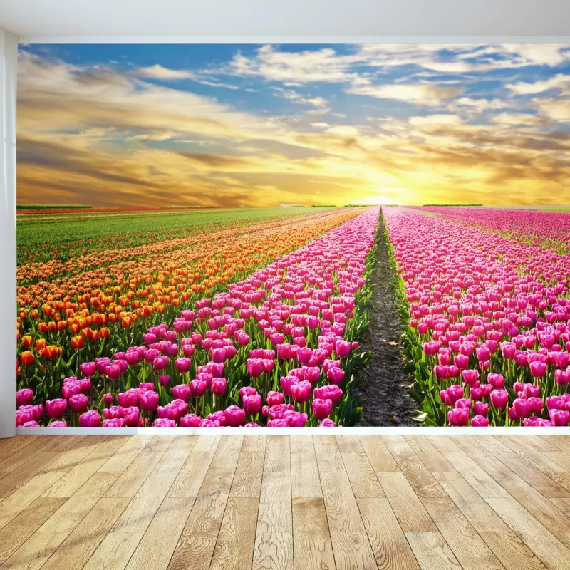 Carta da parati campo di tulipani al tramonto nei Paesi Bassi