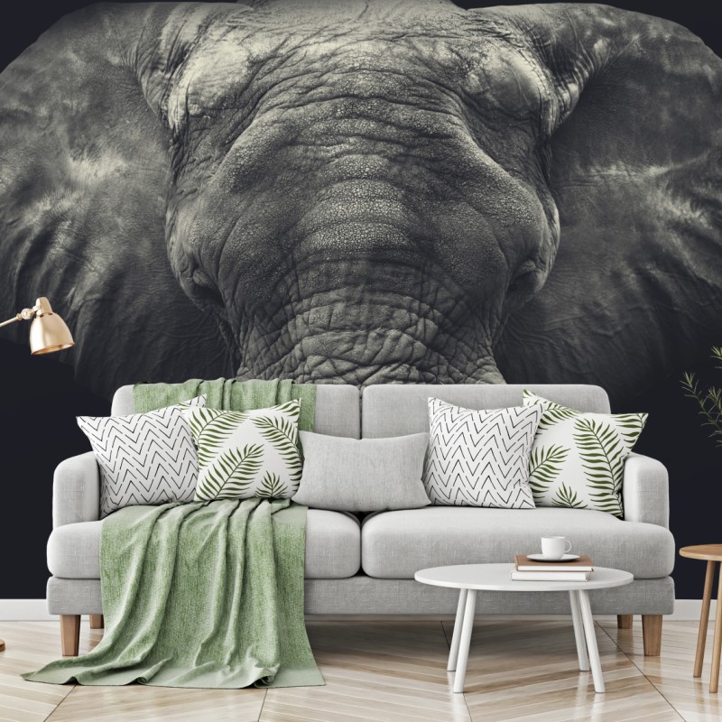 Carta da parati elefante maestoso ritratto monocromatico
