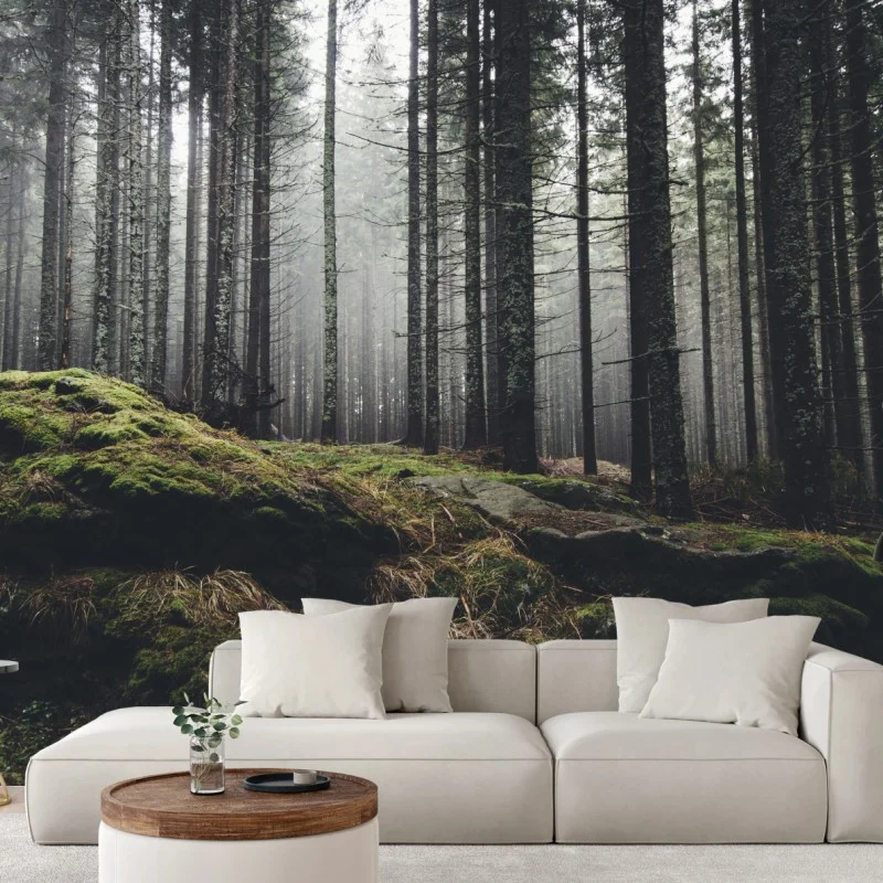 Carta da parati bosco nebbioso e muschio verde