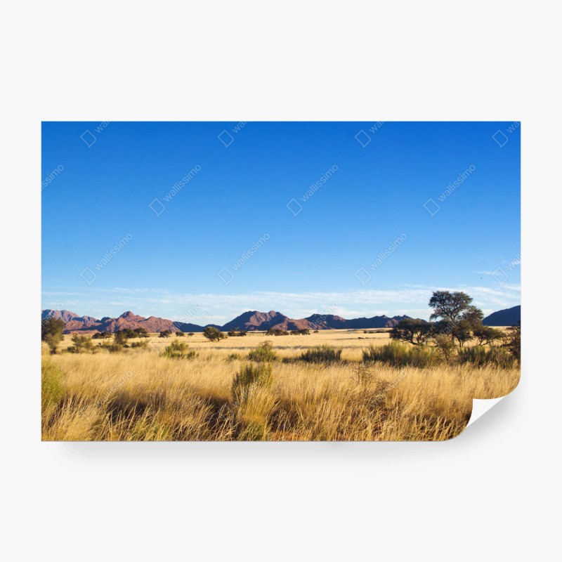 Carta da parati savana dorata e montagne lontane