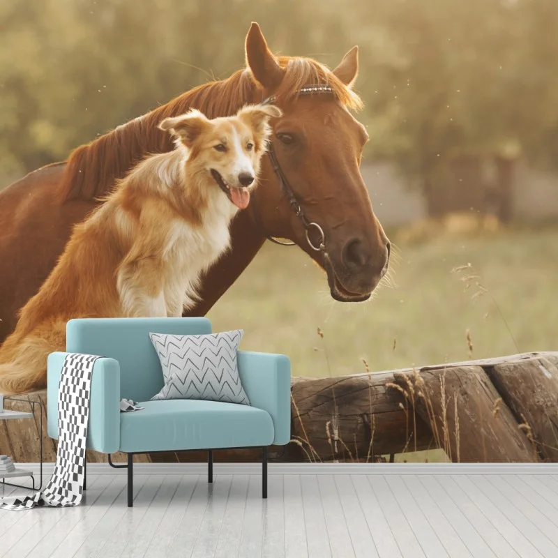 Carta da parati amicizia al tramonto in campagna