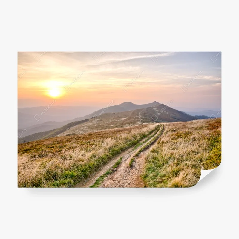 Carta da parati sentiero al tramonto tra le colline