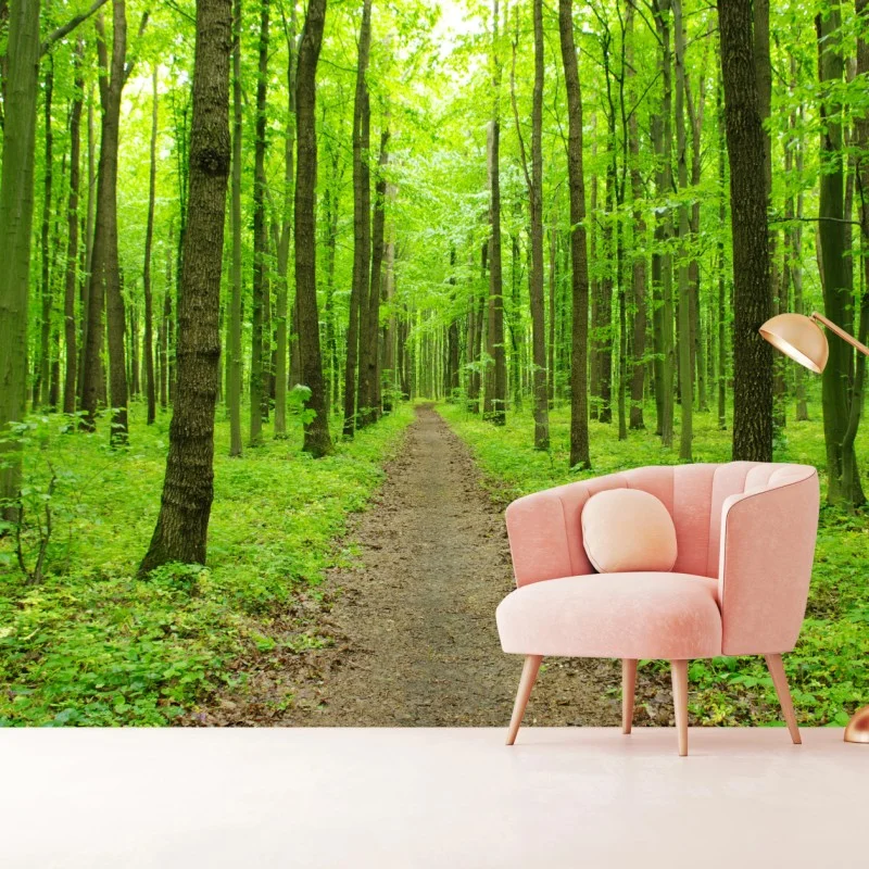 Carta da parati sentiero verde nella foresta primaverile • Wallissimo®
